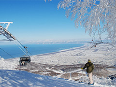 サッポロテイネ