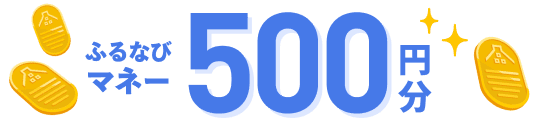 ふるなびマネー500円分
