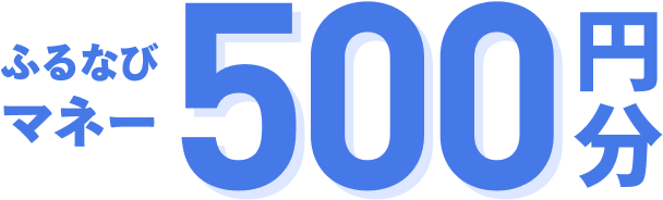 ふるなびマネー500円分