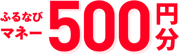 ふるなびマネー500円分