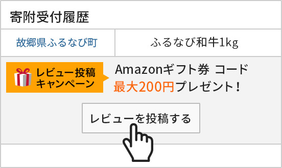 レビュー数5件未満限定 レビュー投稿でamazonギフト券 コード最大0円プレゼント ふるさと納税サイト ふるなび