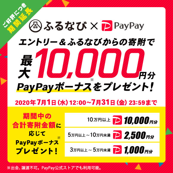 ペイペイ 10000 ソフトバンク 【2021年5月版】PayPay（ペイペイ）のキャンペーンまとめ！使い方も詳しく解説