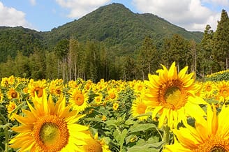 佐賀県みやき町