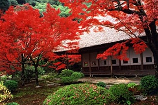 佐賀県神埼市