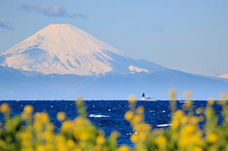 千葉県館山市