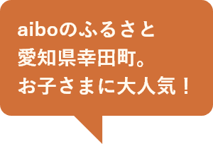 aiboのふるさと愛知県幸田町。お子さまに大人気！