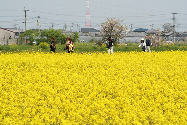 福岡県大木町