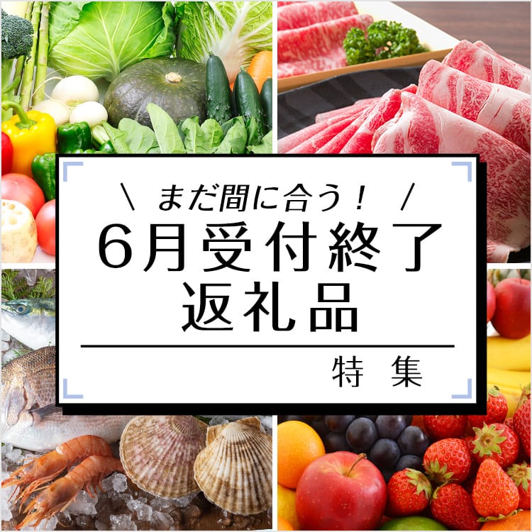 まだ間に合う！6月受付終了の返礼品特集