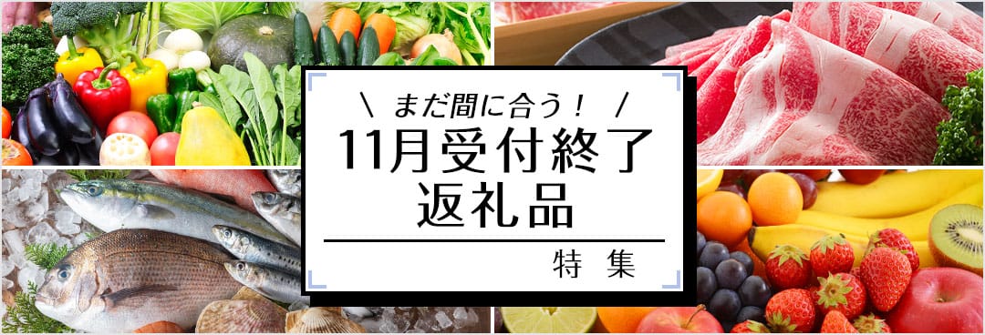 まだ間に合う！11月受付終了の返礼品特集