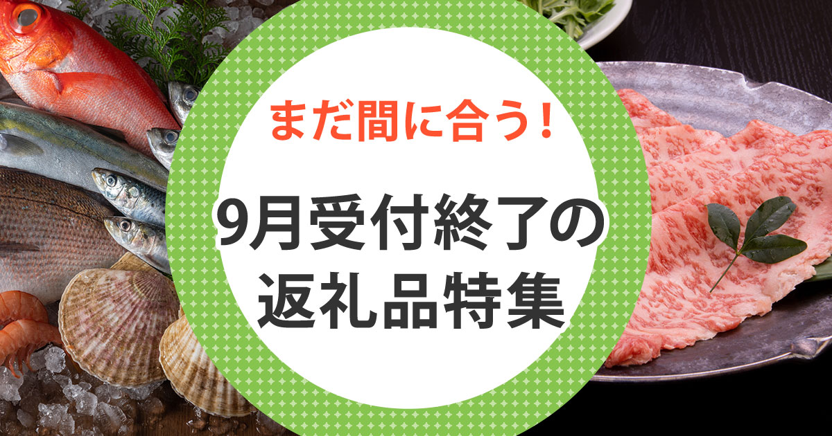 2021人気特価 ふるさと納税 せたな町 スルメ36枚セット arkhitek.co.jp