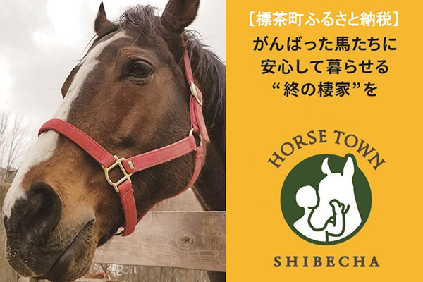 がんばった馬たちに、終の棲家を。“馬と暮らせる町…標茶”事業2021