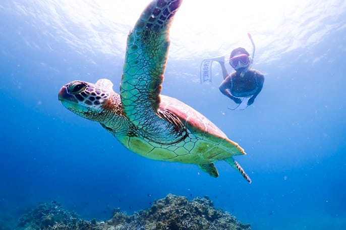 マリンサービスサンフィッシュ石垣島
