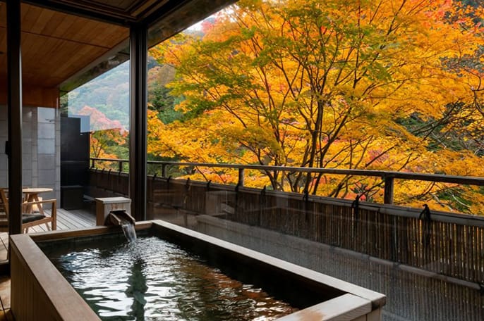 奥伊香保　旅邸　諧暢楼