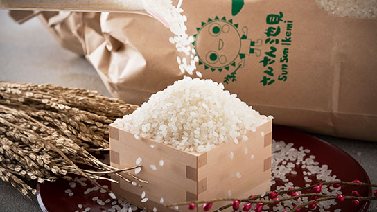 【令和7年産・新米】さんさん池見二代目が笑顔で育てた 福井県産 コシヒカリ お試し用 5kg