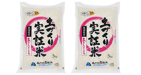 米 定期便 5kg 12ヶ月 令和3年 あきたこまち 5kg×12回 計60kg 精米 白米