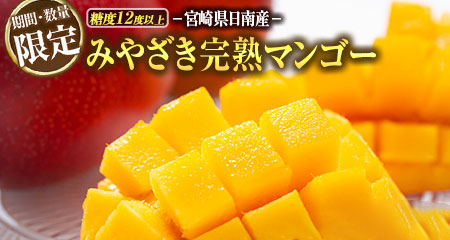  ≪期間・数量限定≫みやざき完熟マンゴー(2～3玉)フルーツ 果物