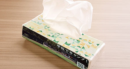 ティッシュペーパーソフトパック 400枚(200組)60パック