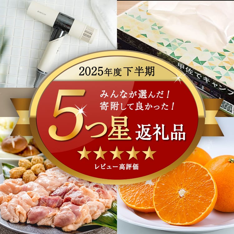 ふるさと納税でよかったもの！2025年度下半期 レビュー5つ星返礼品