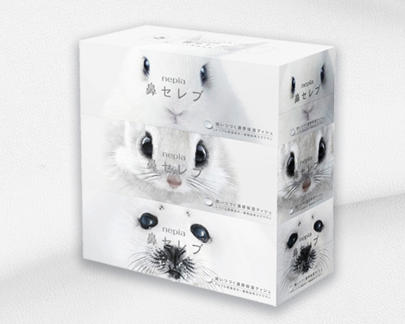 愛知県春日井市のティッシュ