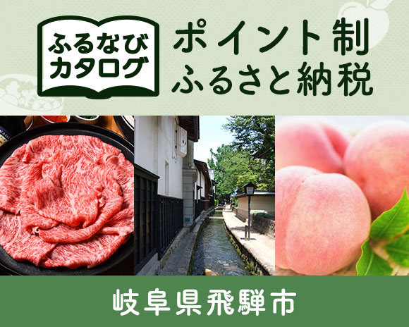岐阜県飛騨市のカタログポイント