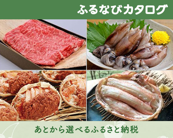 兵庫県香美町のカタログポイント