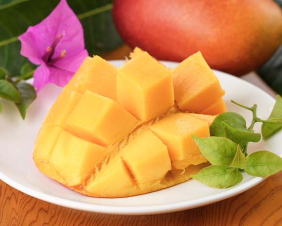 鹿児島県指宿市の果物