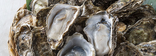 夏の魚介類の返礼品
