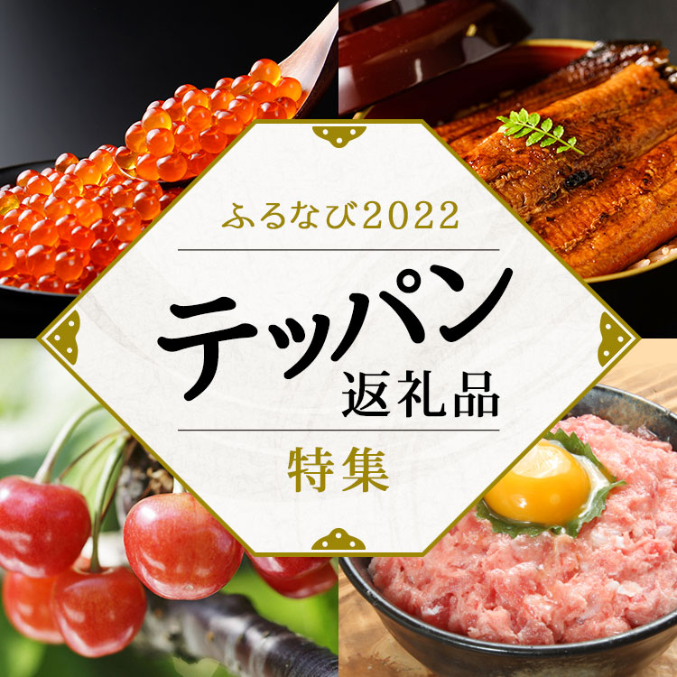 ふるなび2022 テッパン返礼品特集