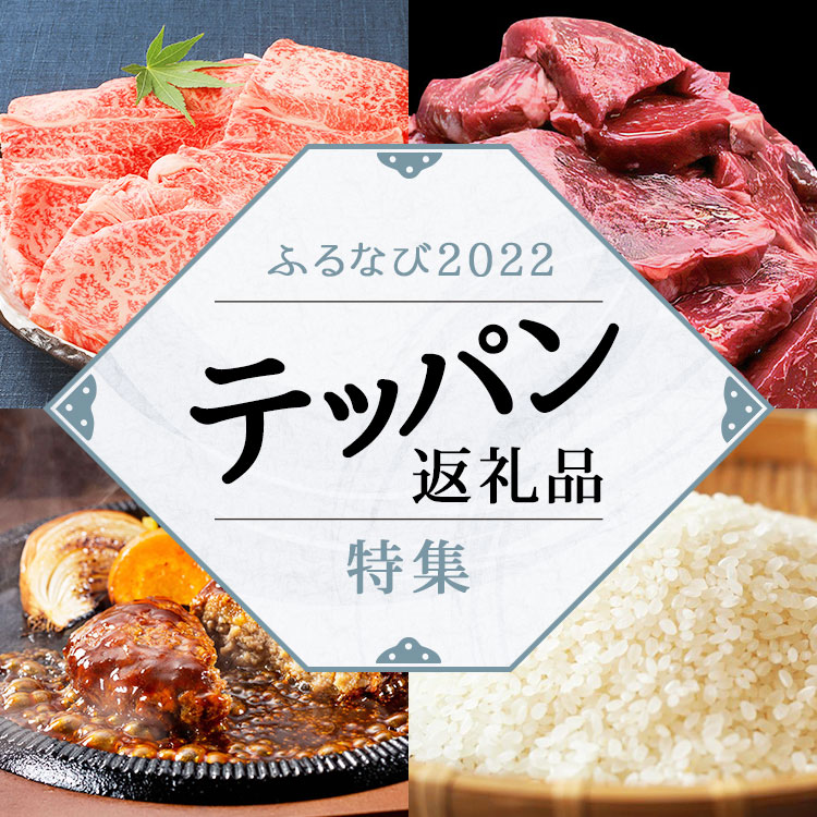 ふるなび2022 テッパン返礼品特集