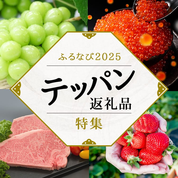 ふるなび2025 テッパン返礼品特集