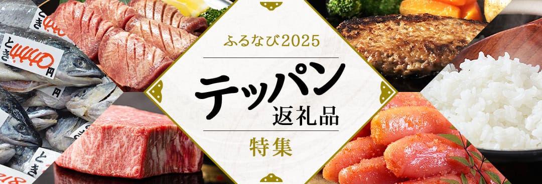 ふるなび2025 テッパン返礼品特集