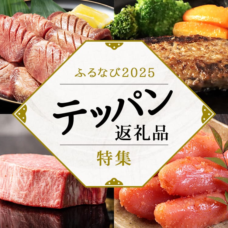 ふるなび2025 テッパン返礼品特集