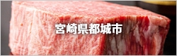 宮崎県都城市