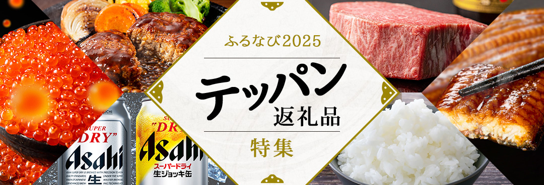 ふるなび2025 テッパン返礼品特集