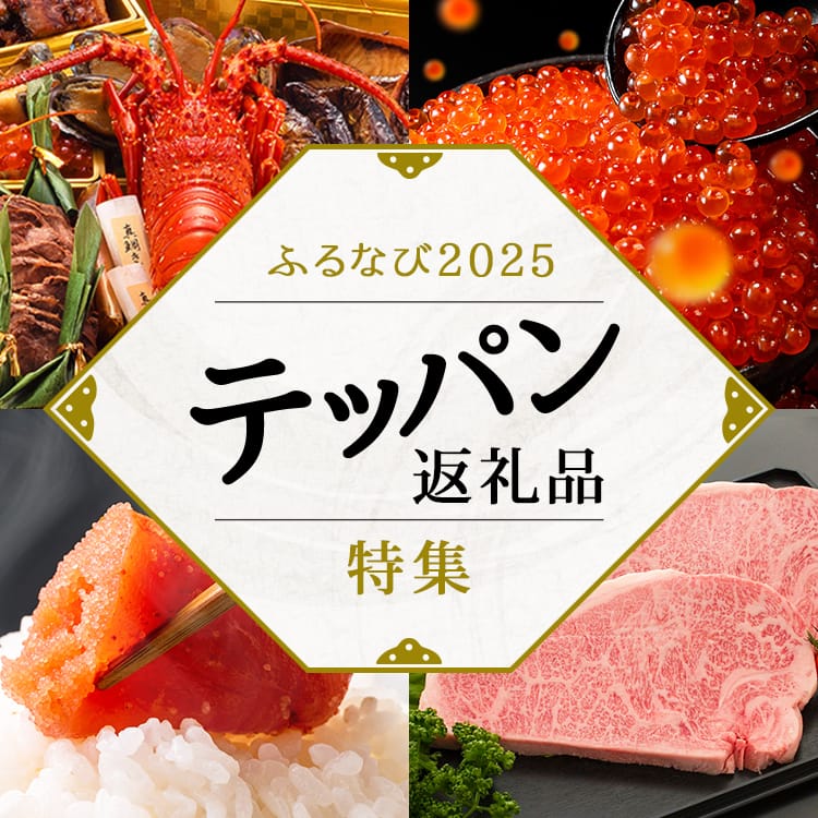 ふるなび2025 テッパン返礼品特集