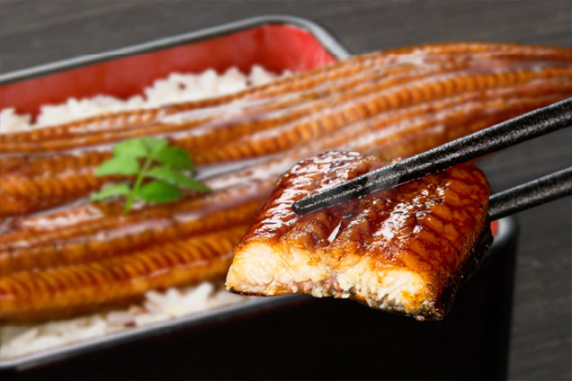 鹿児島県鹿屋市