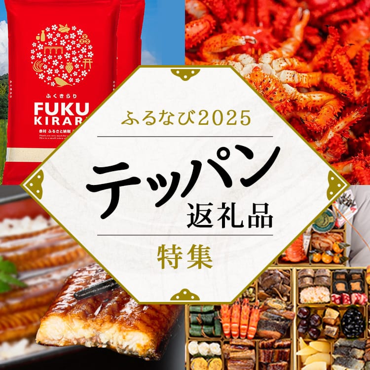 ふるなび2025 テッパン返礼品特集