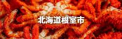 北海道根室市