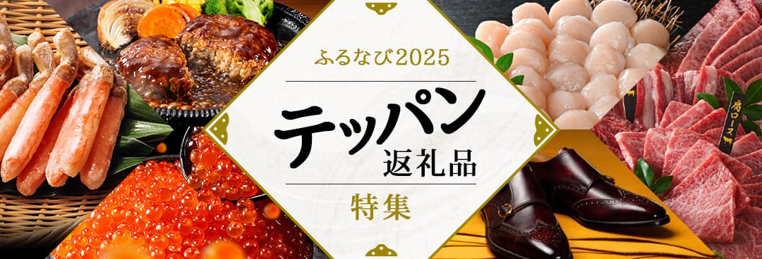 ふるなび2025 テッパン返礼品特集