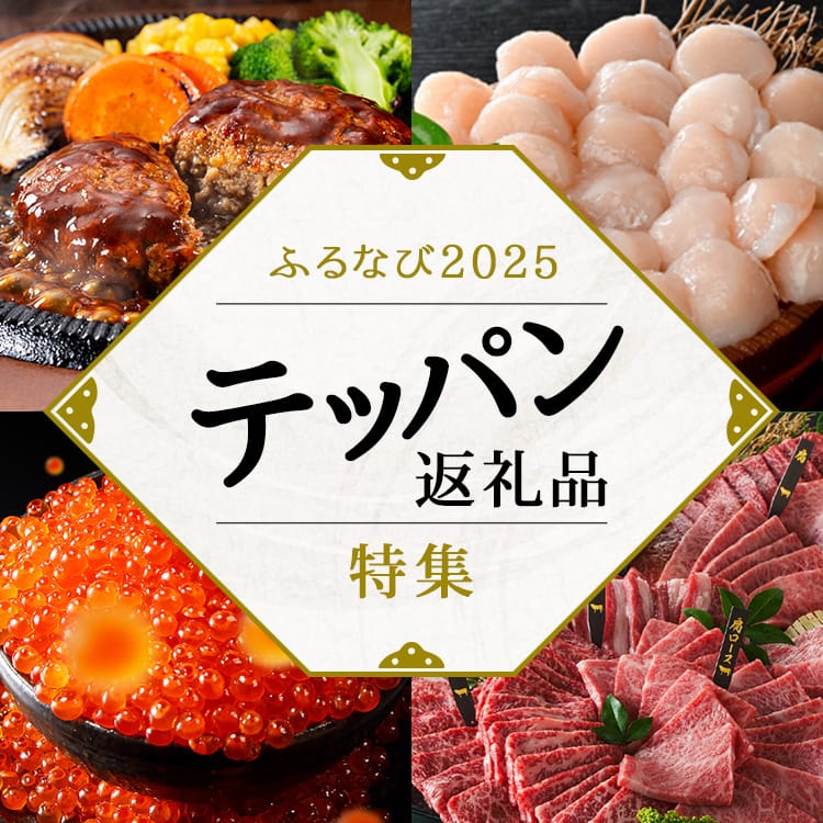 ふるなび2025 テッパン返礼品特集