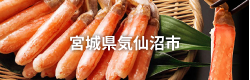 宮城県気仙沼市