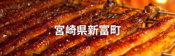 宮崎県新富町