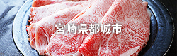 宮崎県都城市