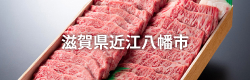 滋賀県近江八幡市