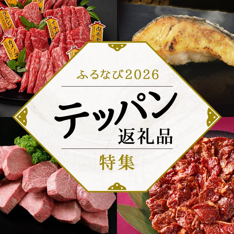 ふるなび2026 テッパン返礼品特集