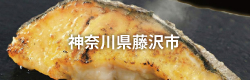 神奈川県藤沢市