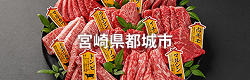 宮崎県都城市
