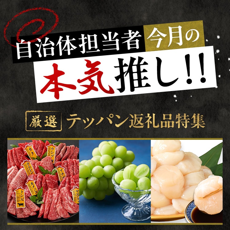 自治体担当者今月の本気推し！ テッパン返礼品特集