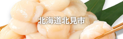 北海道北見市
