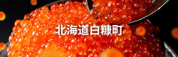 北海道白糠町